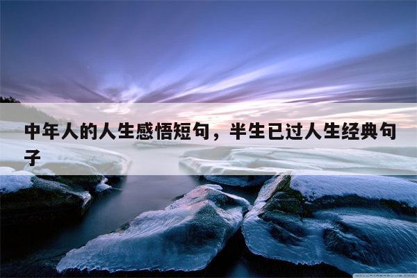 中年人的人生感悟短句，半生已过人生经典句子