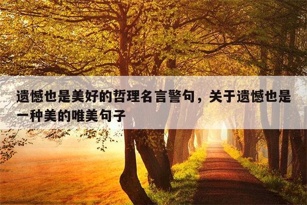 遗憾也是美好的哲理名言警句，关于遗憾也是一种美的唯美句子