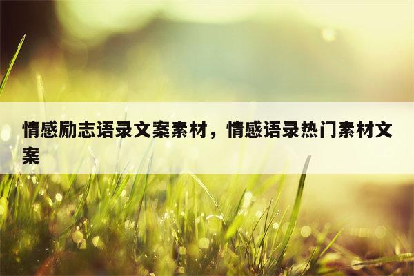 情感励志语录文案素材，情感语录热门素材文案