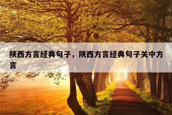 陕西方言经典句子，陕西方言经典句子关中方言