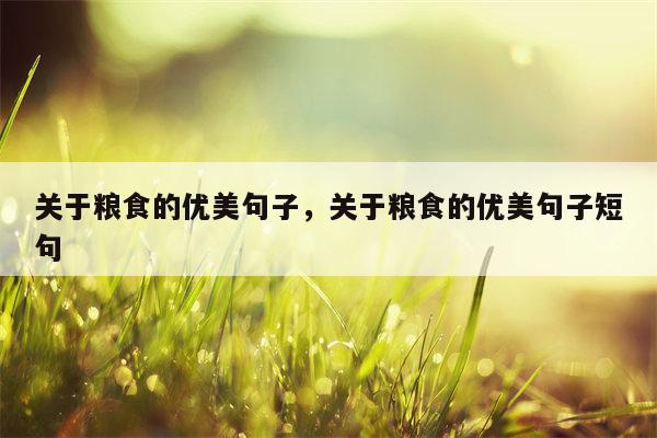关于粮食的优美句子，关于粮食的优美句子短句