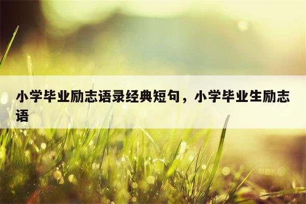 小学毕业励志语录经典短句，小学毕业生励志语