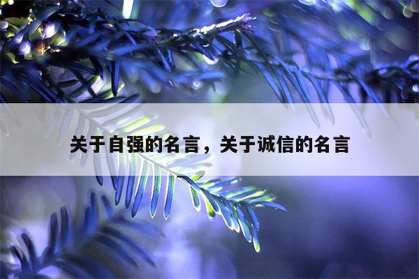 关于自强的名言，关于诚信的名言