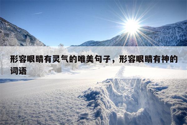 形容眼睛有灵气的唯美句子，形容眼睛有神的词语