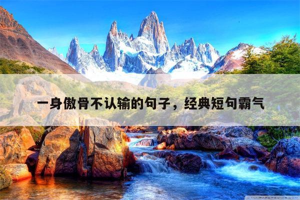 一身傲骨不认输的句子，经典短句霸气