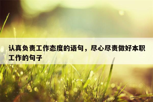 认真负责工作态度的语句，尽心尽责做好本职工作的句子