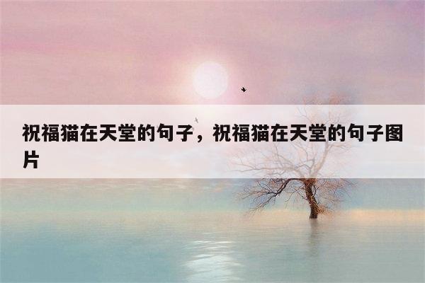 祝福猫在天堂的句子，祝福猫在天堂的句子图片