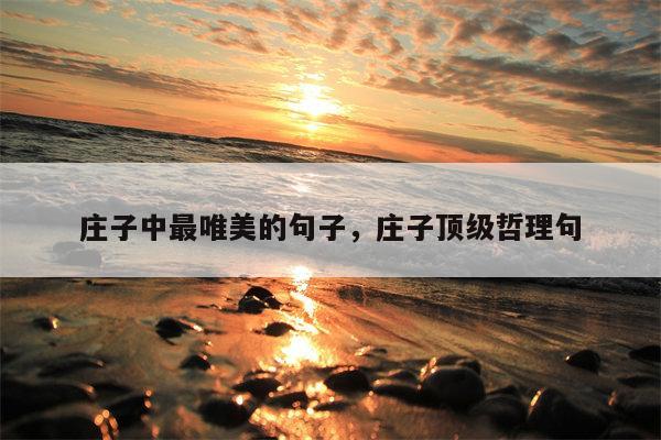 庄子中最唯美的句子，庄子顶级哲理句