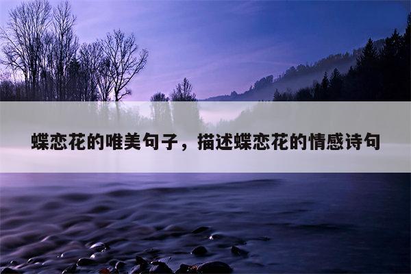 蝶恋花的唯美句子，描述蝶恋花的情感诗句