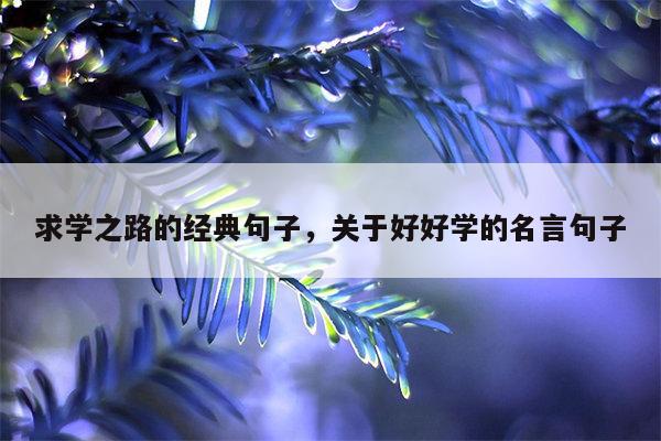 求学之路的经典句子，关于好好学的名言句子