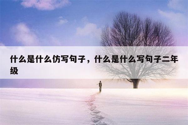 什么是什么仿写句子，什么是什么写句子二年级