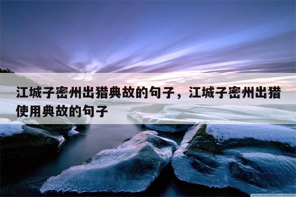 江城子密州出猎典故的句子，江城子密州出猎使用典故的句子