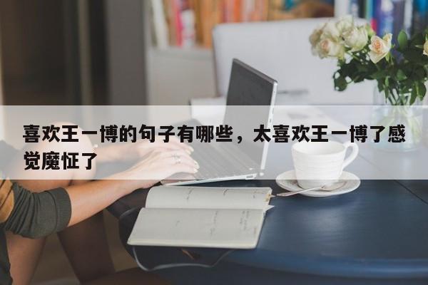 喜欢王一博的句子有哪些，太喜欢王一博了感觉魔怔了