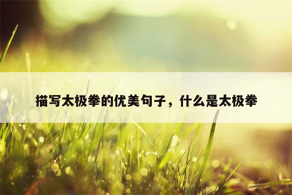 描写太极拳的优美句子，什么是太极拳