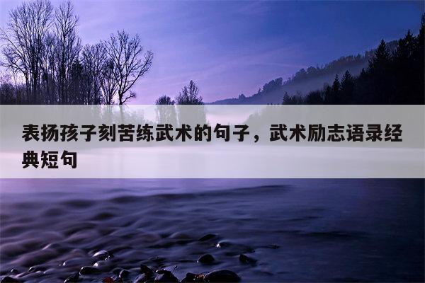 表扬孩子刻苦练武术的句子，武术励志语录经典短句