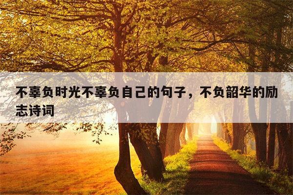 不辜负时光不辜负自己的句子，不负韶华的励志诗词