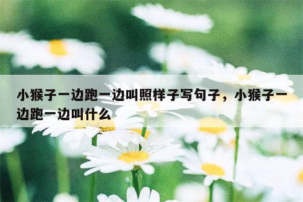 小猴子一边跑一边叫照样子写句子，小猴子一边跑一边叫什么