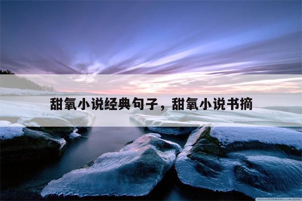 甜氧小说经典句子，甜氧小说书摘