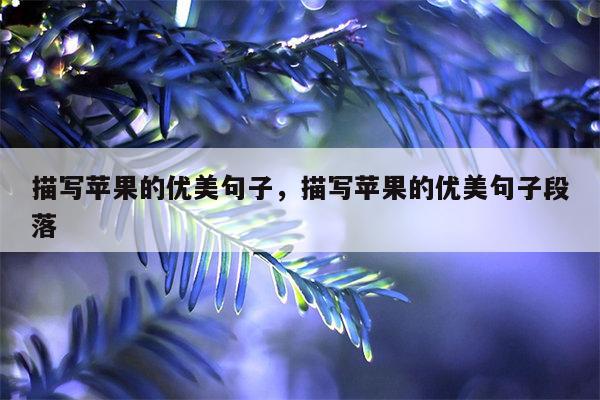 描写苹果的优美句子，描写苹果的优美句子段落