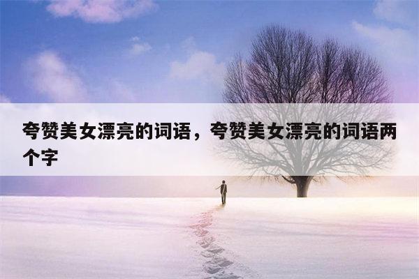 夸赞美女漂亮的词语，夸赞美女漂亮的词语两个字