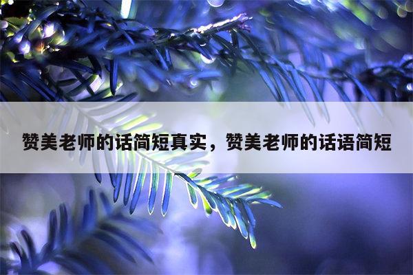 赞美老师的话简短真实，赞美老师的话语简短
