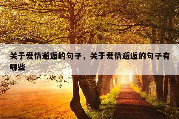 关于爱情邂逅的句子，关于爱情邂逅的句子有哪些