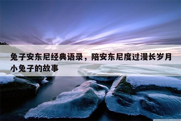 兔子安东尼经典语录，陪安东尼度过漫长岁月小兔子的故事