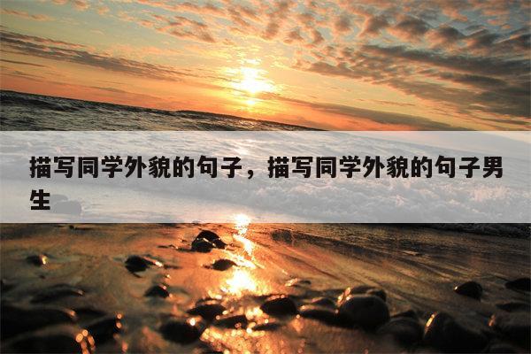 描写同学外貌的句子，描写同学外貌的句子男生