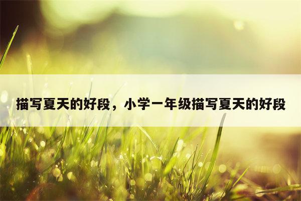 描写夏天的好段，小学一年级描写夏天的好段
