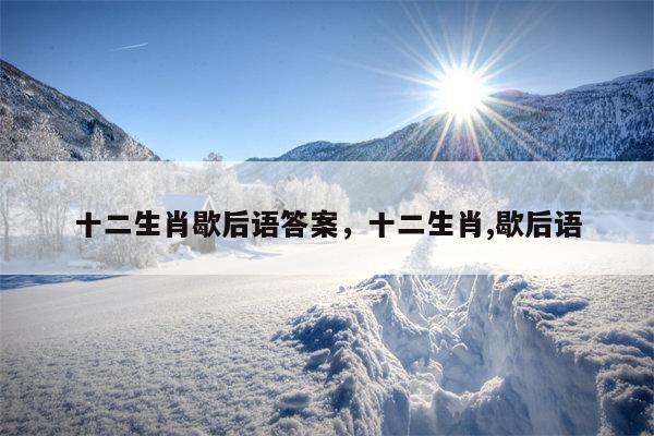 十二生肖歇后语答案，十二生肖,歇后语