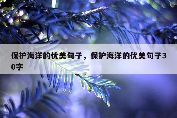 保护海洋的优美句子，保护海洋的优美句子30字