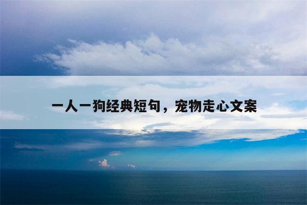 一人一狗经典短句，宠物走心文案