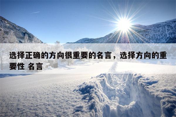 选择正确的方向很重要的名言，选择方向的重要性 名言