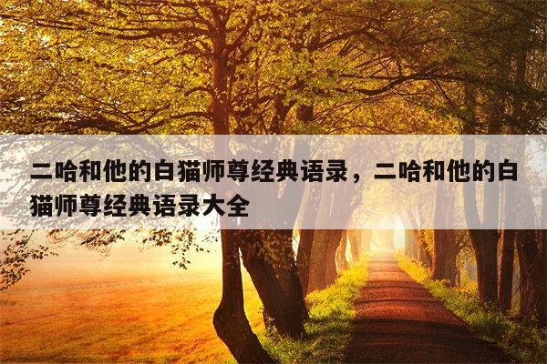 二哈和他的白猫师尊经典语录，二哈和他的白猫师尊经典语录大全