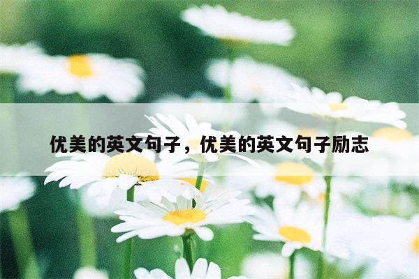 优美的英文句子，优美的英文句子励志