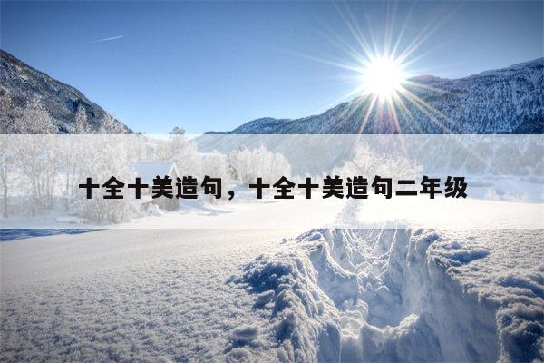 十全十美造句，十全十美造句二年级