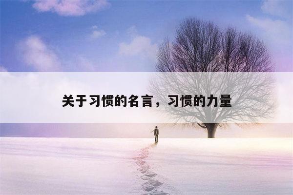 关于习惯的名言，习惯的力量