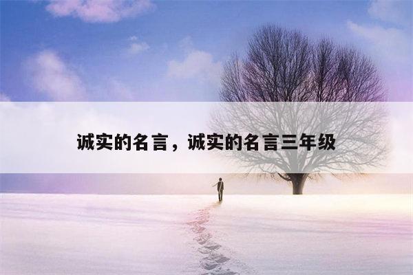 诚实的名言，诚实的名言三年级