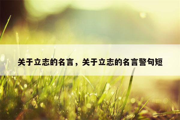 关于立志的名言，关于立志的名言警句短