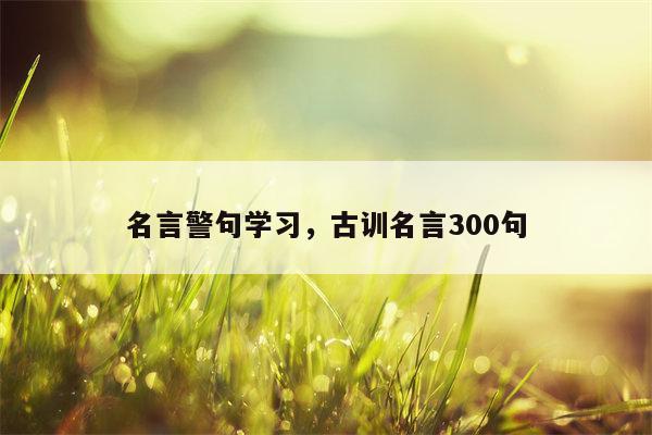 名言警句学习，古训名言300句