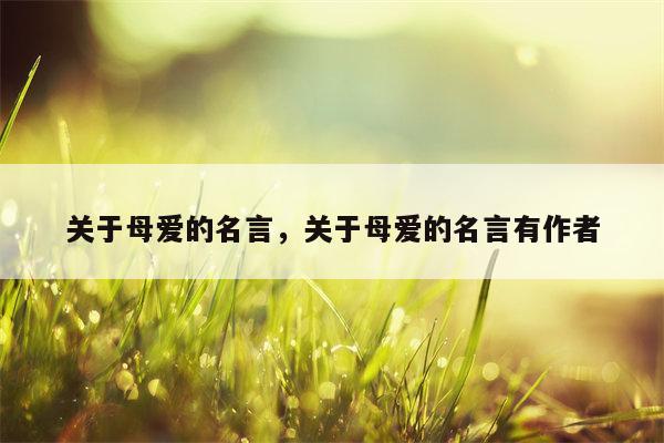 关于母爱的名言，关于母爱的名言有作者