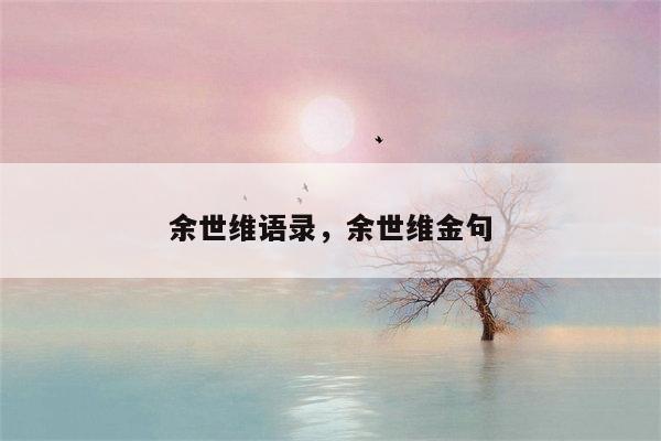 余世维语录，余世维金句