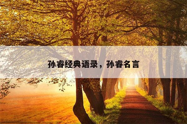 孙睿经典语录，孙睿名言