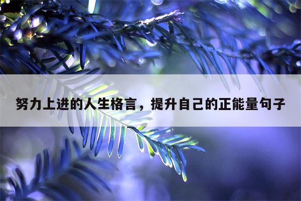 努力上进的人生格言，提升自己的正能量句子