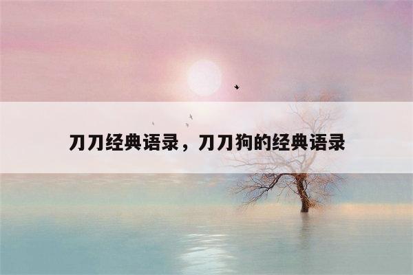 刀刀经典语录，刀刀狗的经典语录