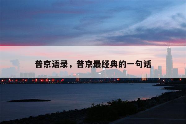 普京语录，普京最经典的一句话