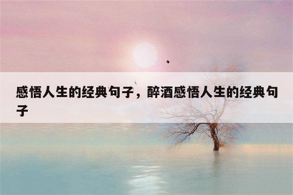 感悟人生的经典句子，醉酒感悟人生的经典句子