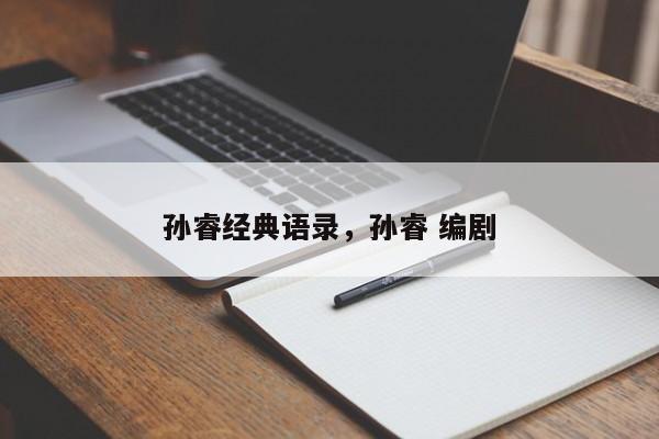 孙睿经典语录，孙睿 编剧