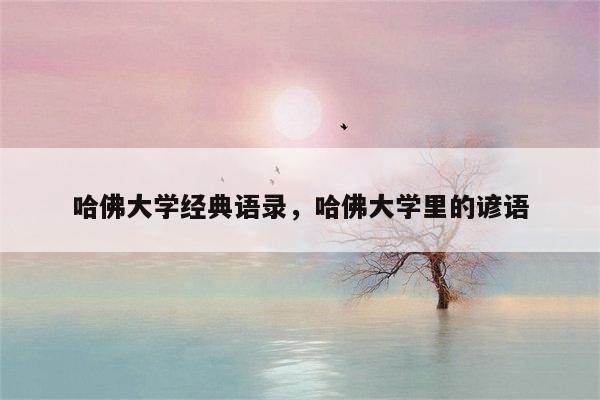 哈佛大学经典语录，哈佛大学里的谚语