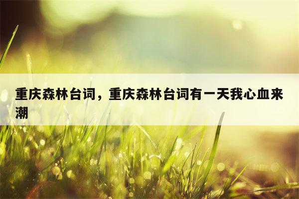 重庆森林台词，重庆森林台词有一天我心血来潮